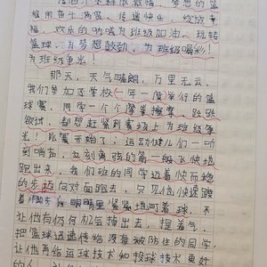 篮球训练心得300字左右